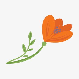 小清新风花朵免抠