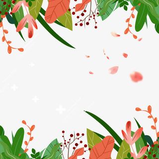 飘落花瓣的花藤免抠