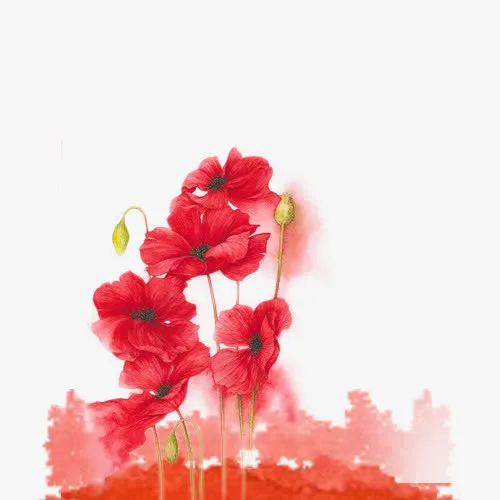 中秋素材花免抠