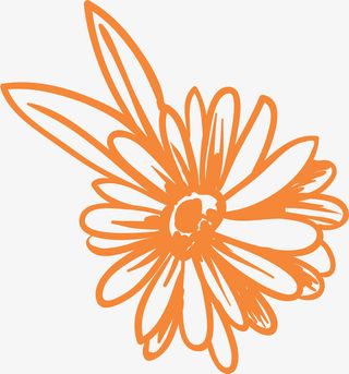 开花的矢量单色金盏花免抠