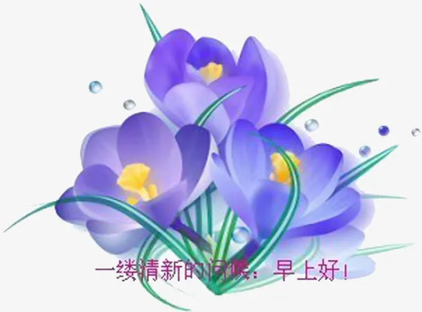 一缕清香免抠