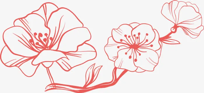 矢量线描桃花花枝花瓣素材免抠