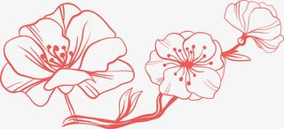 矢量线描桃花花枝花瓣素材免抠