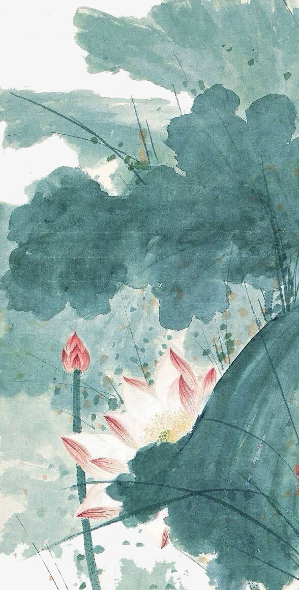 国画荷花免抠