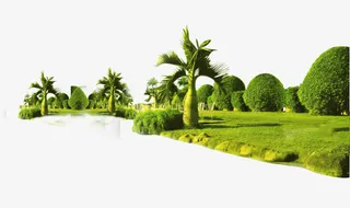 夏日沙滩海报绿色植物树草坪免抠