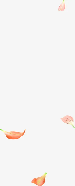 橙色清新花瓣漂浮素材免抠