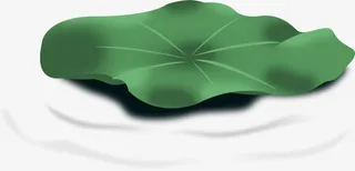 荷叶  花花草草 荷花 莲花花卉免抠