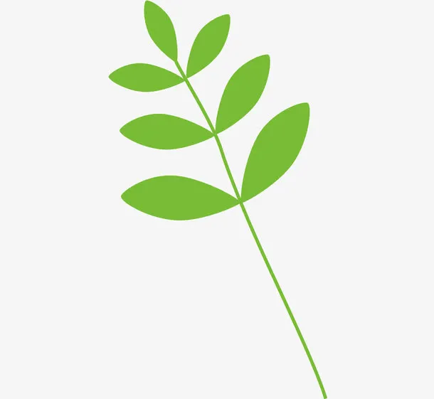 春天叶子免抠