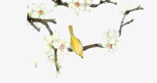 白色花朵创意小鸟免抠