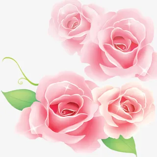 花瓣树叶漂浮免抠