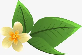 小清新花朵装饰免抠