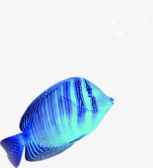 创意合成渐变光效深海的鱼免抠