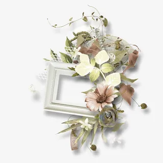 鲜花相框免抠