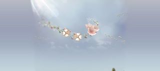 蓝色背景粉色花朵海报