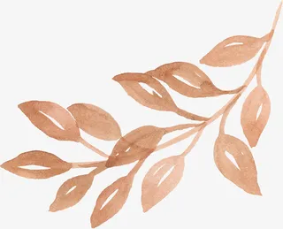 文艺清新花草海报设计装饰免抠