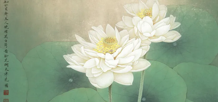古风莲花背景高清
