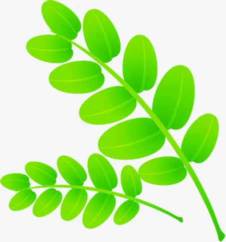 绿色清爽卡通树枝设计免抠