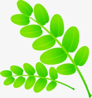 绿色清爽卡通树枝设计免抠