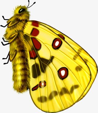 手绘黄色卡通蝴蝶逼真免抠