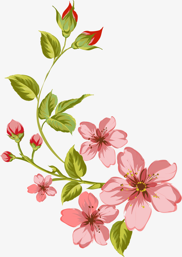粉色花枝植物免抠