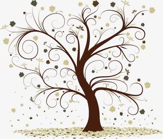 矢量秋天落叶的大树免抠