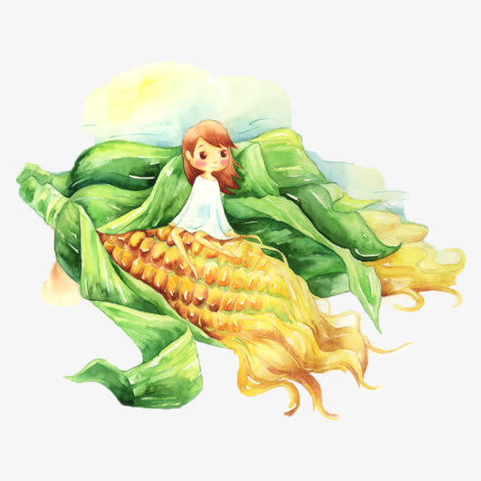手绘玉米免抠