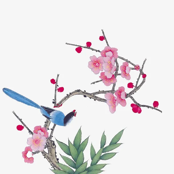 花鸟图免抠