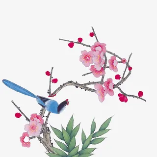 花鸟图免抠