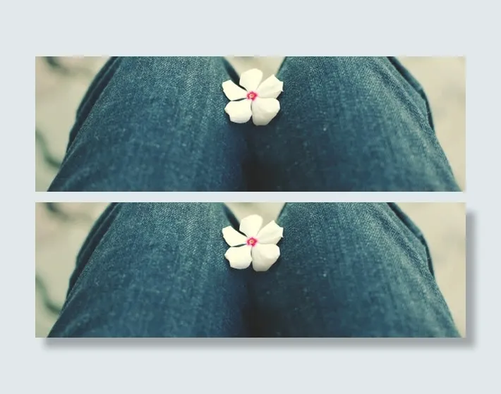 清新摄影特写海报背景