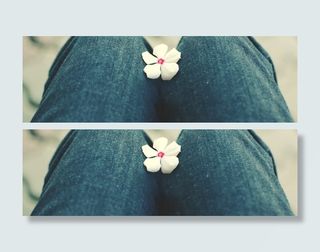 清新摄影特写海报背景