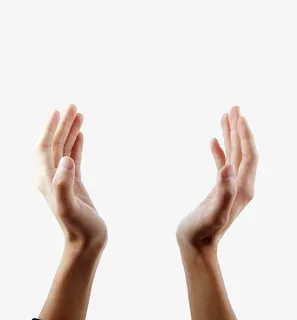 保护地球的手绿色环保展板图片免抠 保护地球的手绿色环保展板图片免抠