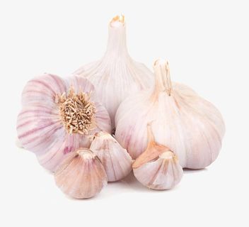 新鲜大蒜免抠
