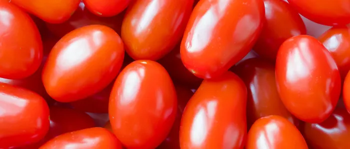 西红柿背景高清