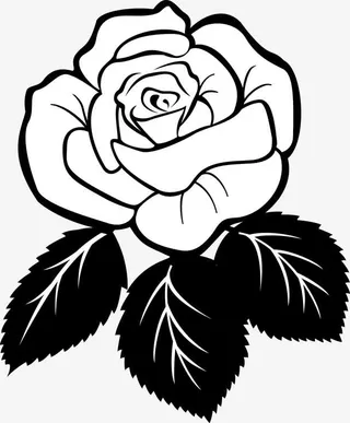 手绘盛开的玫瑰花图免抠