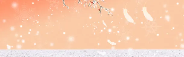 淘宝冬季羽绒服背景banner