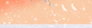 淘宝冬季羽绒服背景banner