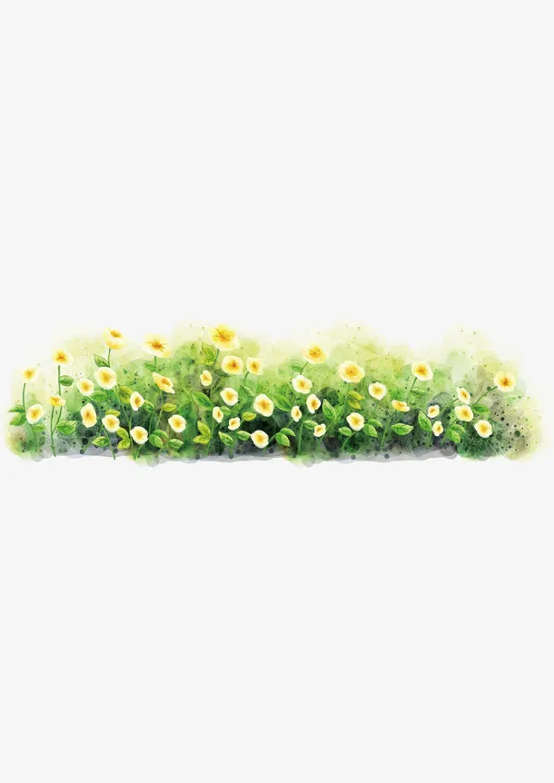 路边野花免抠