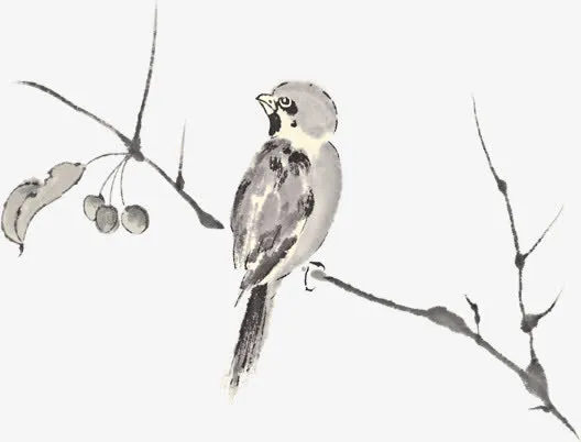 水墨风树枝上小鸟免抠素材免抠