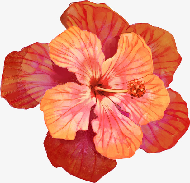 手绘卡通红色五瓣花花朵免抠