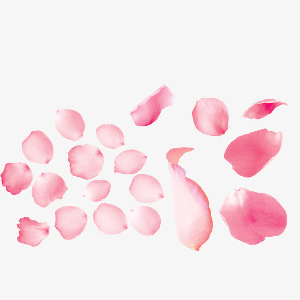 粉色玫瑰花瓣免抠