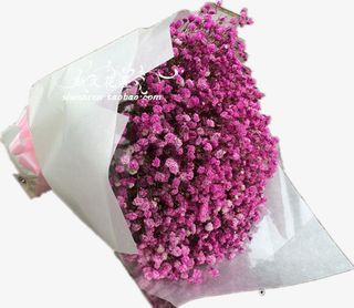 满天星花束免抠