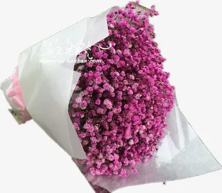 满天星花束免抠