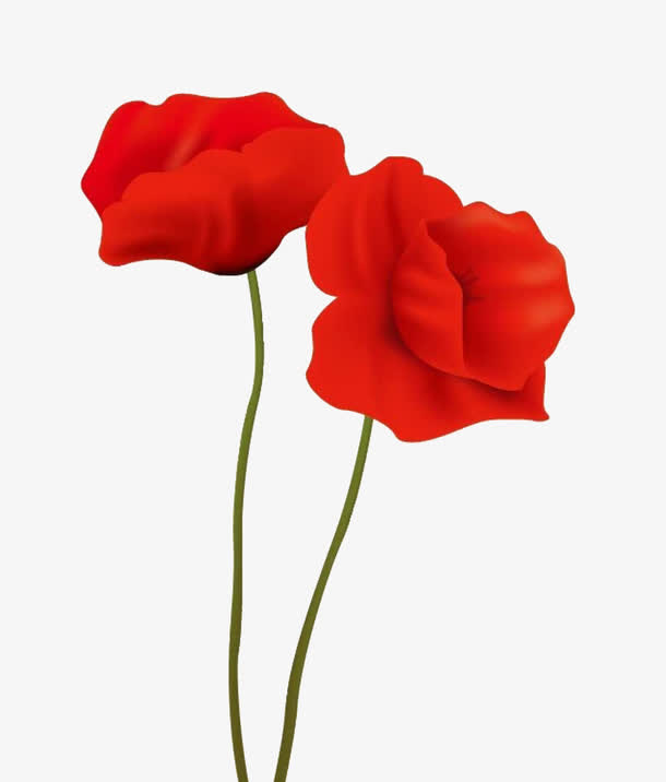 红色罂粟花免抠