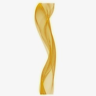 头纱png图片免抠