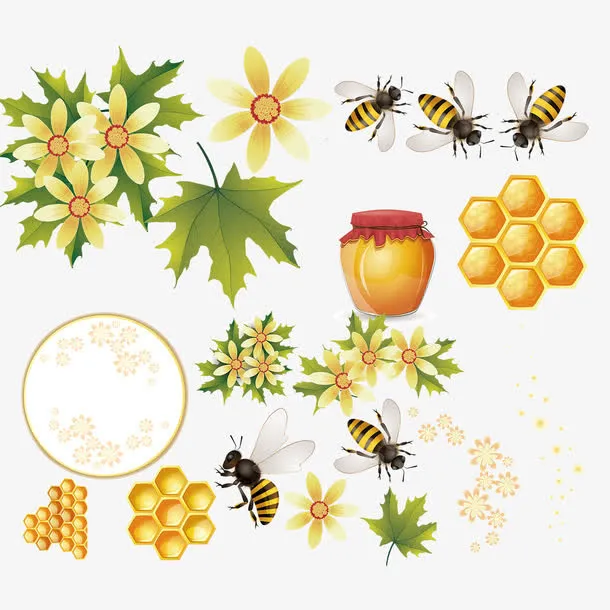 蜂蜜蜂巢蜜蜂矢量素材免抠