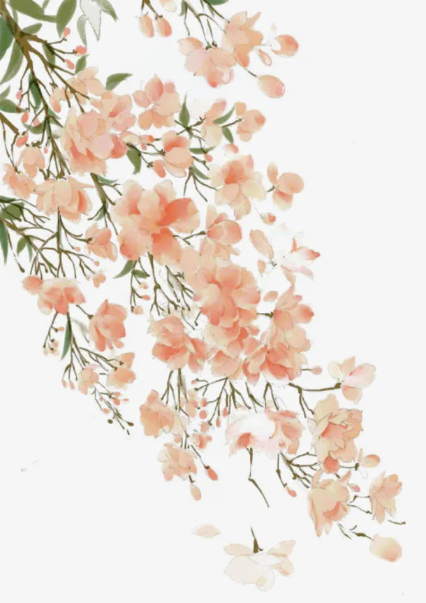 古风彩绘的花枝免抠