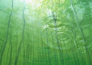 保护水资源森林可再生背景高清