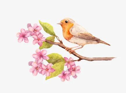 卡通手绘杜鹃鸟免抠 卡通手绘杜鹃鸟免抠