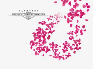 桃花花瓣    节日   鲜花免抠