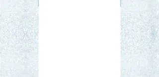 雪景树枝固定背景